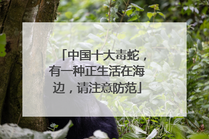中国十大毒蛇，有一种正生活在海边，请注意防范