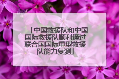 中国救援队和中国国际救援队顺利通过联合国国际重型救援队能力复测
