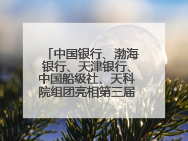 中国银行、渤海银行、天津银行、中国船级社、天科院组团亮相第三届天津国际航运展 输出航运服务“中国方案”