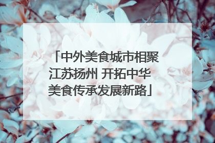 中外美食城市相聚江苏扬州 开拓中华美食传承发展新路