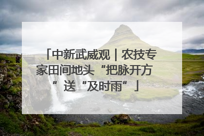 中新武威观｜农技专家田间地头“把脉开方”送“及时雨”