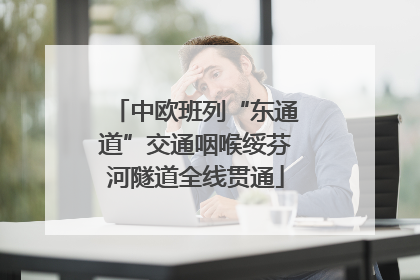 中欧班列“东通道”交通咽喉绥芬河隧道全线贯通