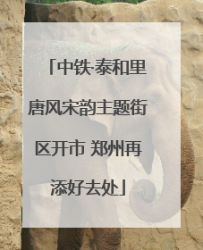 中铁·泰和里唐风宋韵主题街区开市 郑州再添好去处
