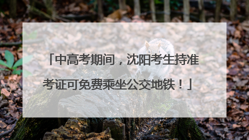 中高考期间，沈阳考生持准考证可免费乘坐公交地铁！