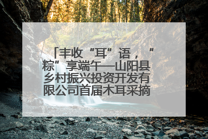丰收“耳”语，“粽”享端午—山阳县乡村振兴投资开发有限公司首届木耳采摘活动盛大启幕