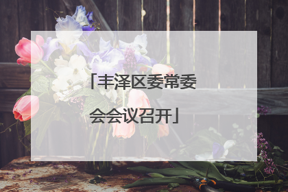 丰泽区委常委会会议召开