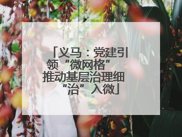 义马：党建引领“微网格” 推动基层治理细“治”入微