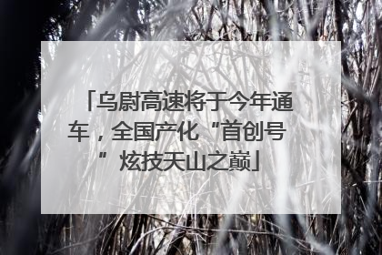 乌尉高速将于今年通车，全国产化“首创号”炫技天山之巅