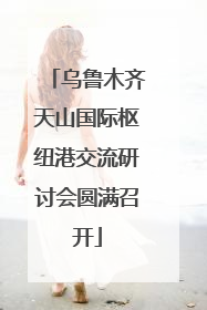 乌鲁木齐天山国际枢纽港交流研讨会圆满召开