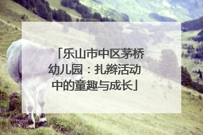 乐山市中区茅桥幼儿园：扎辫活动中的童趣与成长