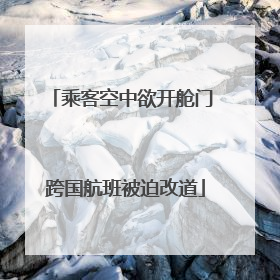 乘客空中欲开舱门 跨国航班被迫改道