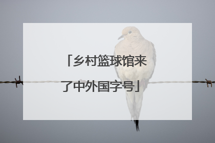 乡村篮球馆来了中外国字号