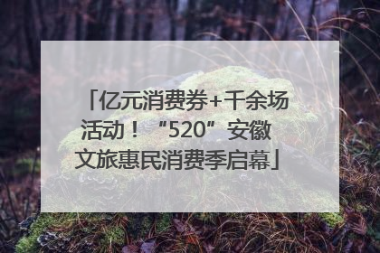 亿元消费券+千余场活动！“520”安徽文旅惠民消费季启幕
