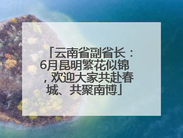云南省副省长：6月昆明繁花似锦，欢迎大家共赴春城、共聚南博