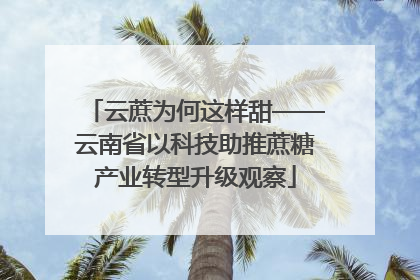 云蔗为何这样甜——云南省以科技助推蔗糖产业转型升级观察