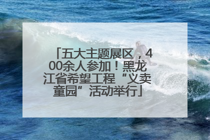 五大主题展区，400余人参加！黑龙江省希望工程“义卖童园”活动举行