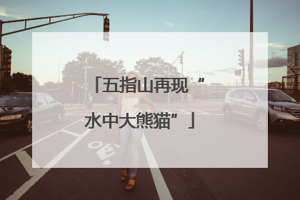 五指山再现“水中大熊猫”