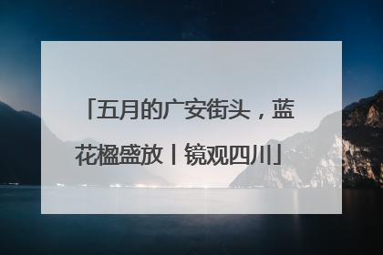 五月的广安街头，蓝花楹盛放丨镜观四川