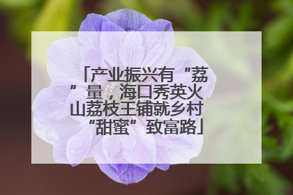 产业振兴有“荔”量，海口秀英火山荔枝王铺就乡村“甜蜜”致富路