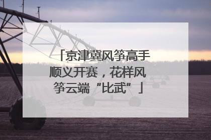 京津冀风筝高手顺义开赛，花样风筝云端“比武”