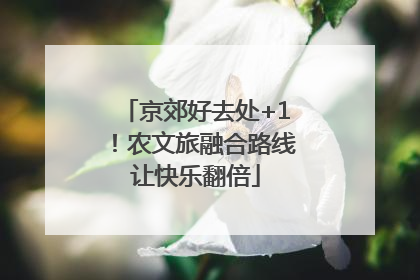 京郊好去处+1！农文旅融合路线让快乐翻倍