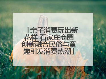亲子消费玩出新花样 石家庄商圈创新融合民俗与童趣引发消费热潮