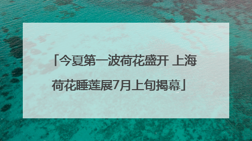 今夏第一波荷花盛开 上海荷花睡莲展7月上旬揭幕