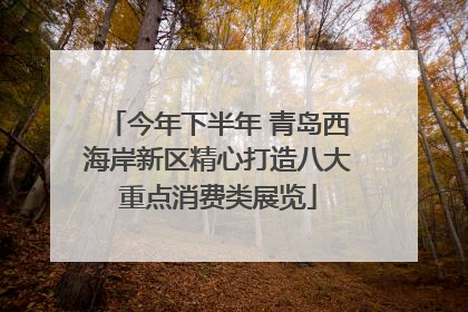 今年下半年 青岛西海岸新区精心打造八大重点消费类展览