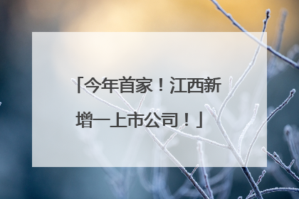 今年首家！江西新增一上市公司！