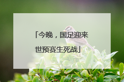今晚，国足迎来世预赛生死战