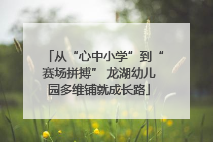 从“心中小学”到“赛场拼搏” 龙湖幼儿园多维铺就成长路