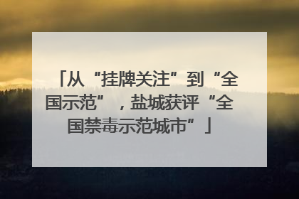从“挂牌关注”到“全国示范”，盐城获评“全国禁毒示范城市”