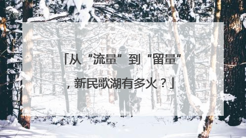 从“流量”到“留量”，新民歌湖有多火？