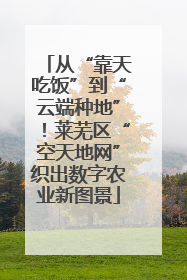 从“靠天吃饭”到“云端种地”！莱芜区“空天地网”织出数字农业新图景