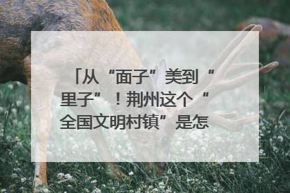 从“面子”美到“里子”！荆州这个“全国文明村镇”是怎样炼成的？