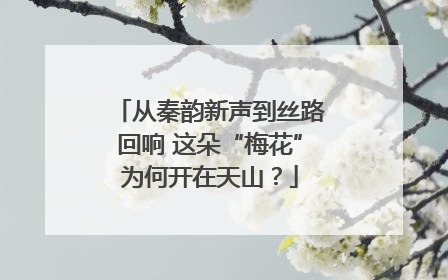 从秦韵新声到丝路回响 这朵“梅花”为何开在天山？