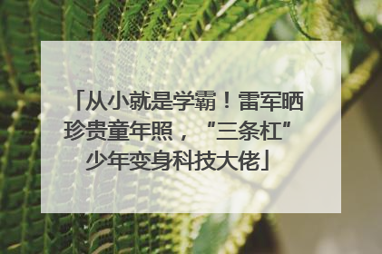 从小就是学霸！雷军晒珍贵童年照，“三条杠”少年变身科技大佬