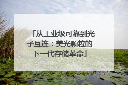 从工业级可靠到光子互连：美光颗粒的下一代存储革命