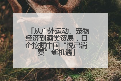 从户外运动、宠物经济到酒类贸易，日企挖掘中国“悦己消费”新机遇