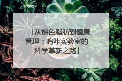 从棕色脂肪到健康管理：呜咔实验室的科学革新之路