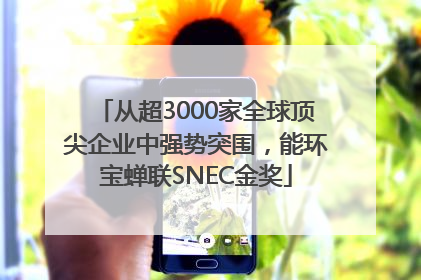 从超3000家全球顶尖企业中强势突围，能环宝蝉联SNEC金奖