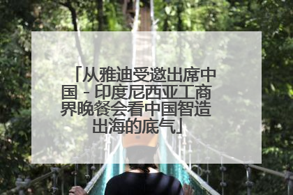 从雅迪受邀出席中国－印度尼西亚工商界晚餐会看中国智造出海的底气