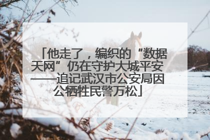 他走了，编织的“数据天网”仍在守护大城平安——追记武汉市公安局因公牺牲民警万松