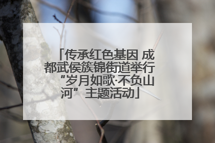 传承红色基因 成都武侯簇锦街道举行“岁月如歌·不负山河”主题活动