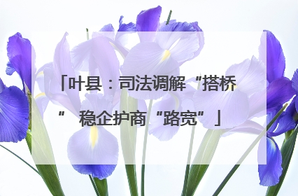 叶县：司法调解“搭桥” 稳企护商“路宽”