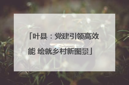 叶县：党建引领高效能 绘就乡村新图景