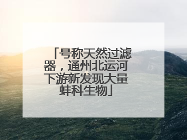 号称天然过滤器，通州北运河下游新发现大量蚌科生物
