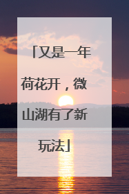 又是一年荷花开，微山湖有了新玩法
