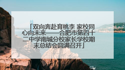 双向奔赴育桃李 家校同心向未来——合肥市第四十二中学南城分校家长学校期末总结会圆满召开