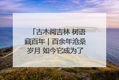 古木阅吉林 树语藏百年｜百余年沧桑岁月 如今它成为了“镇园之宝”